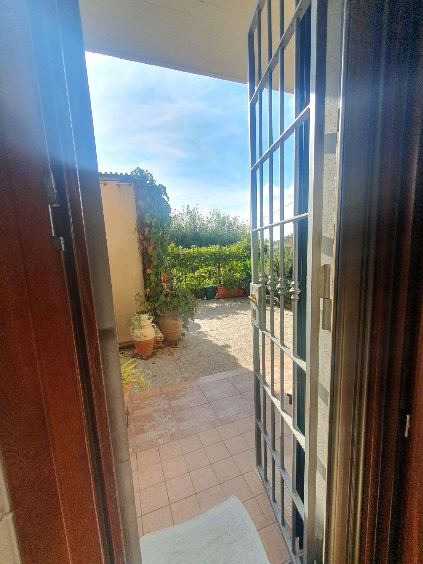  - foto 11