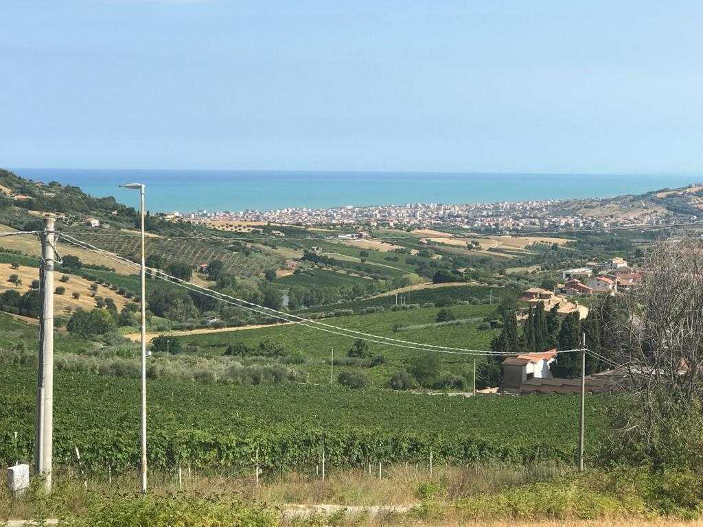  - foto 11