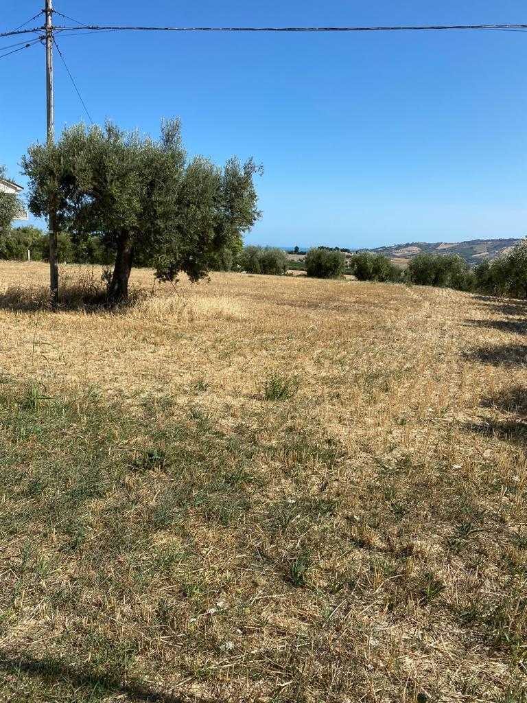  - foto 15