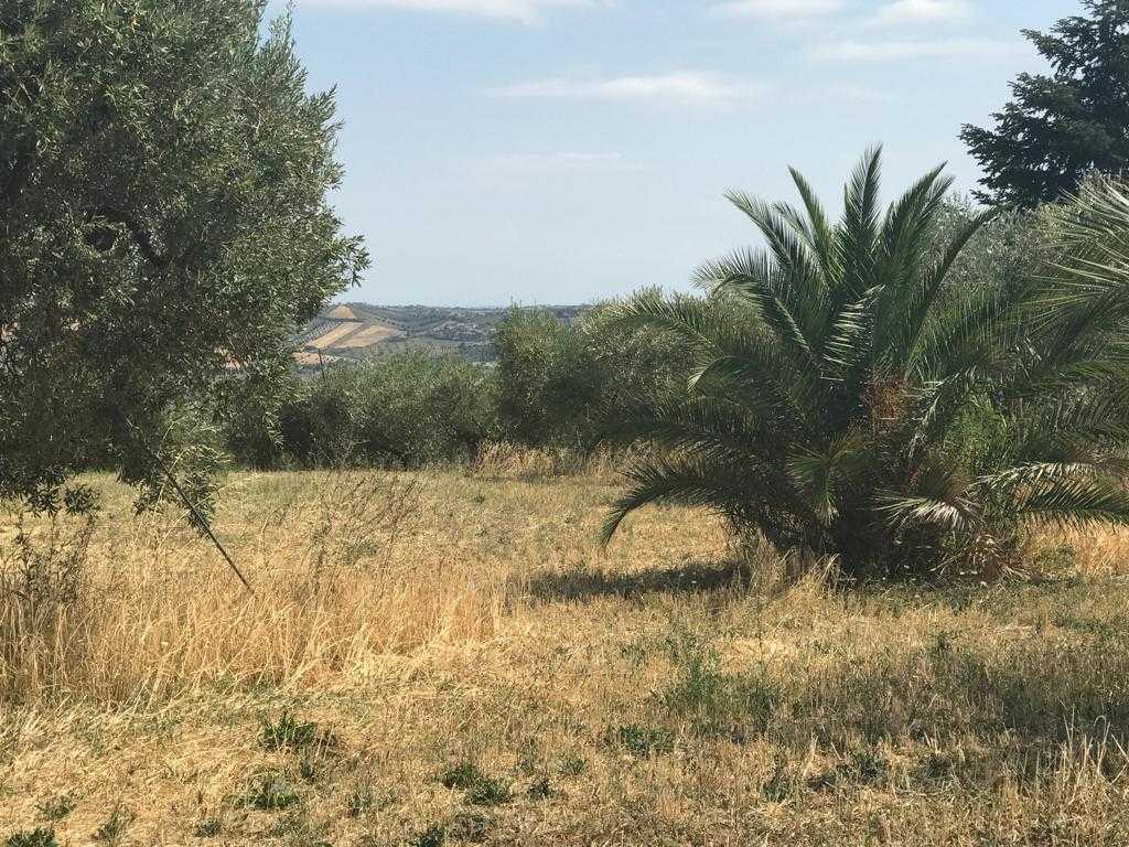  - foto 17