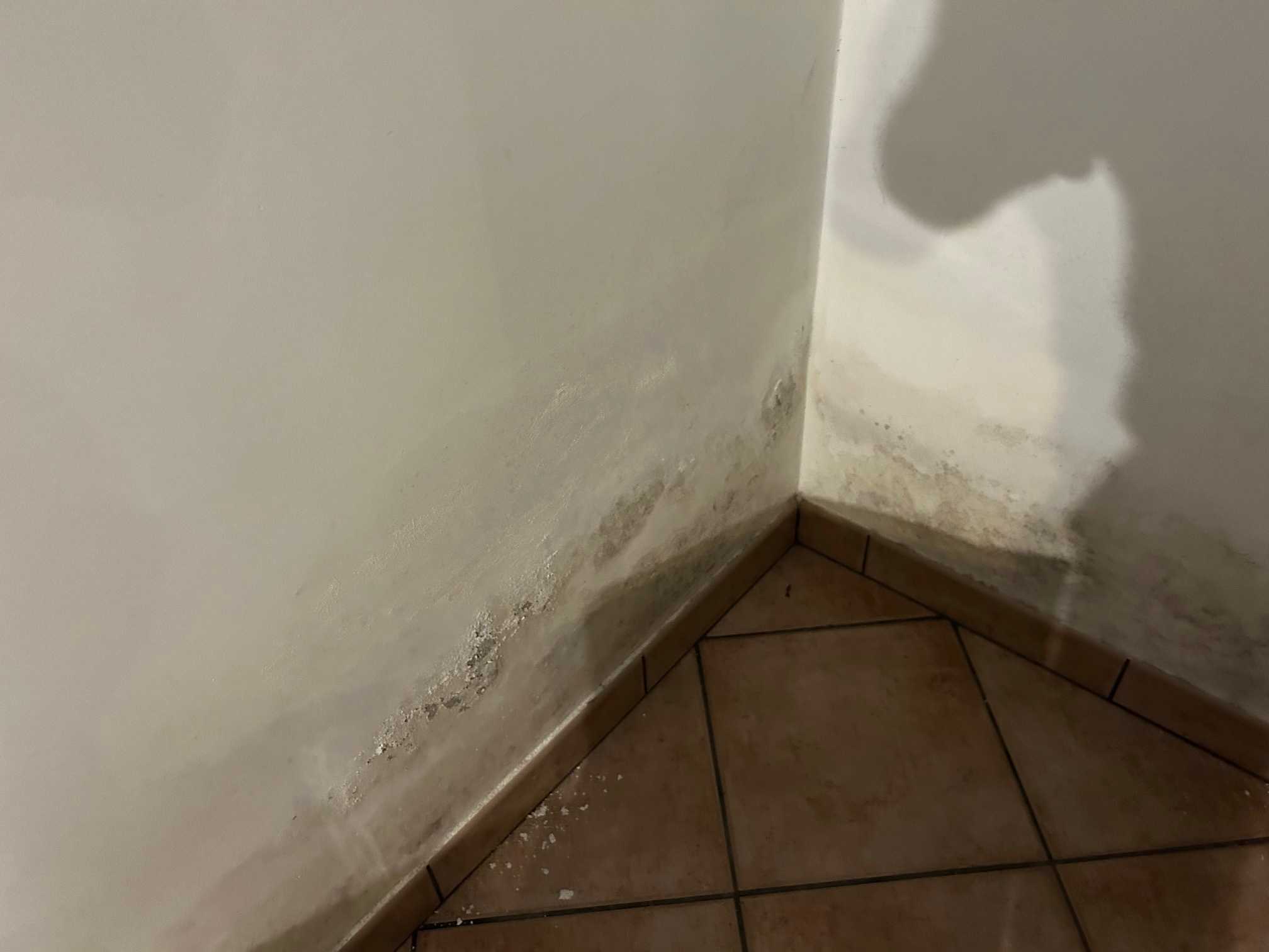  - foto 17