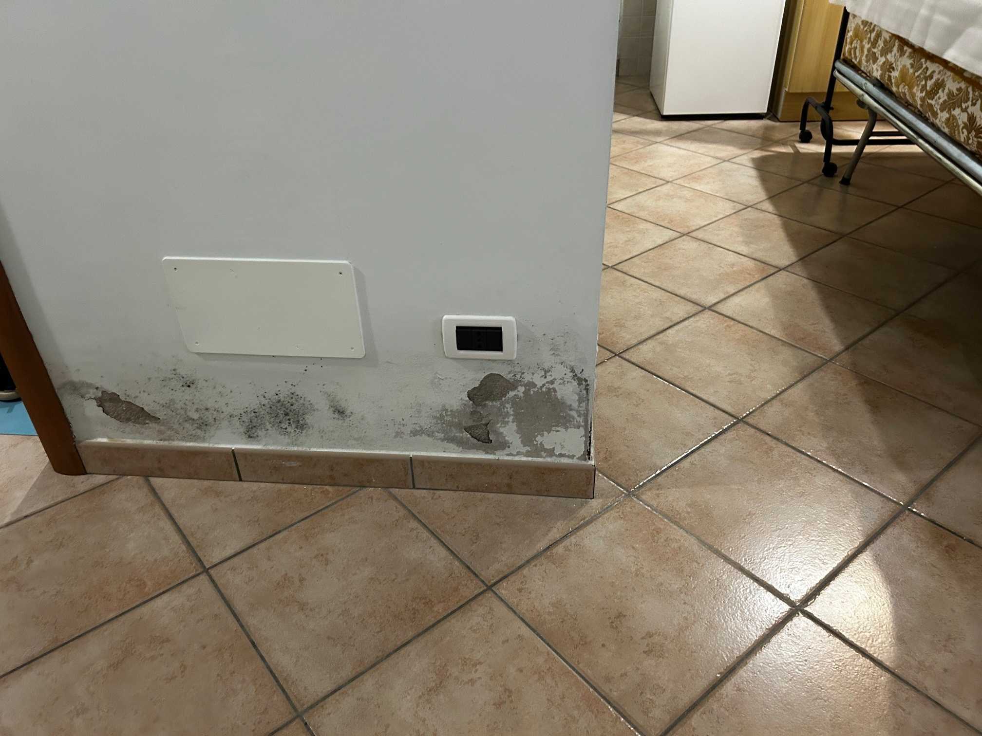  - foto 26