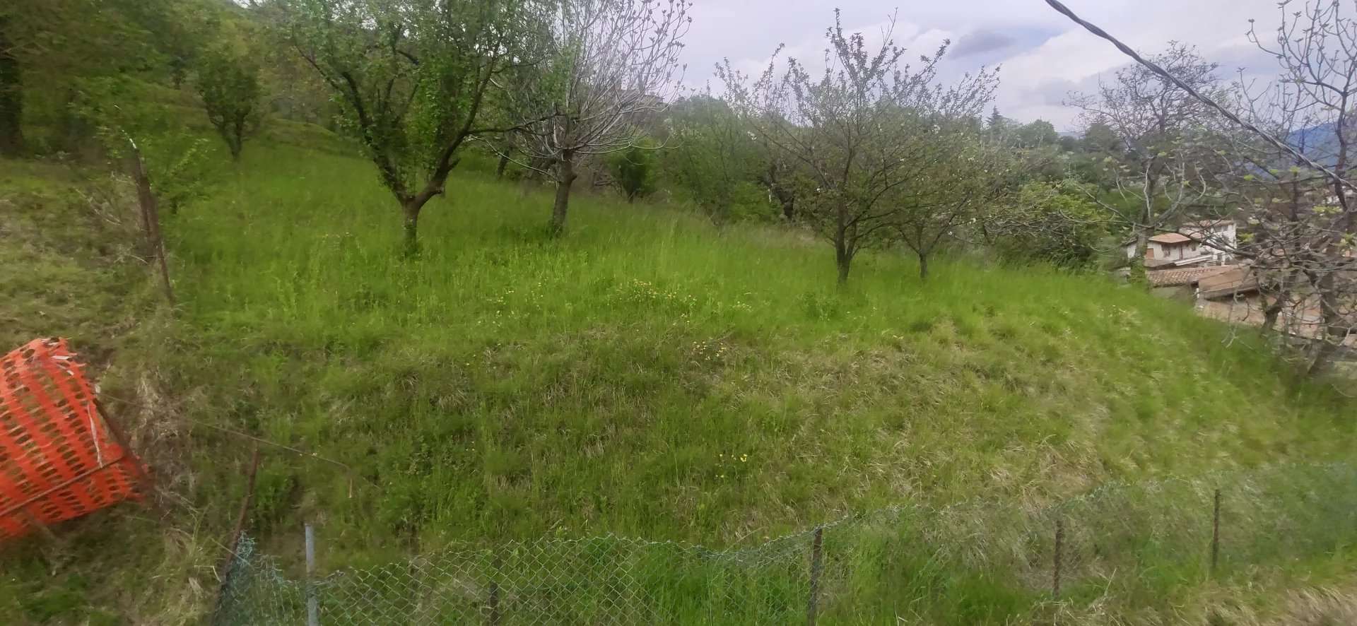  - foto 10