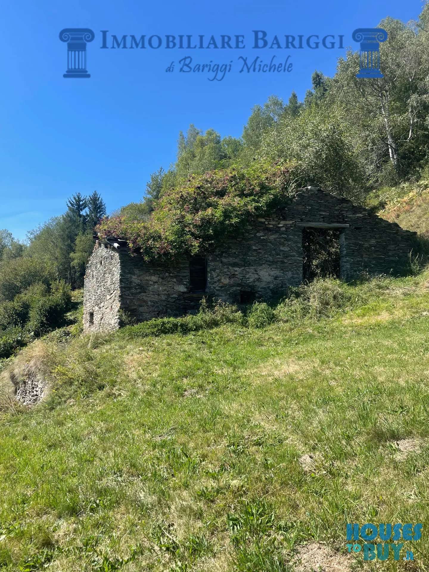  - foto 3