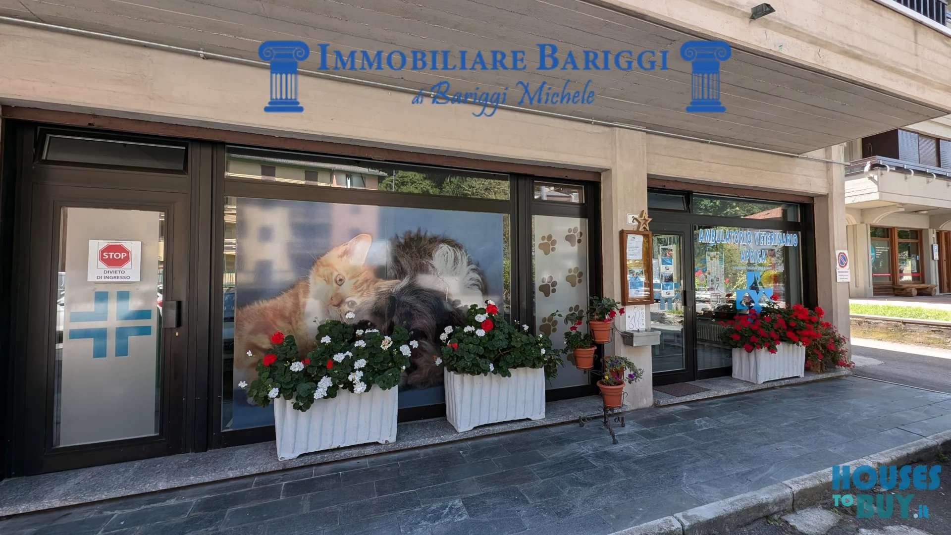  - foto 13