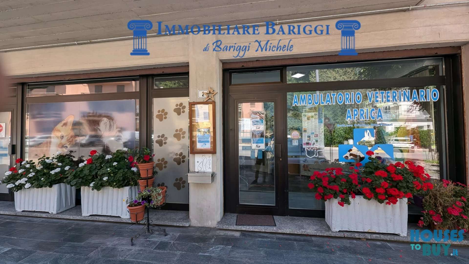  - foto 14