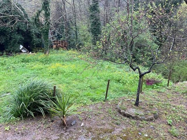  - foto 20