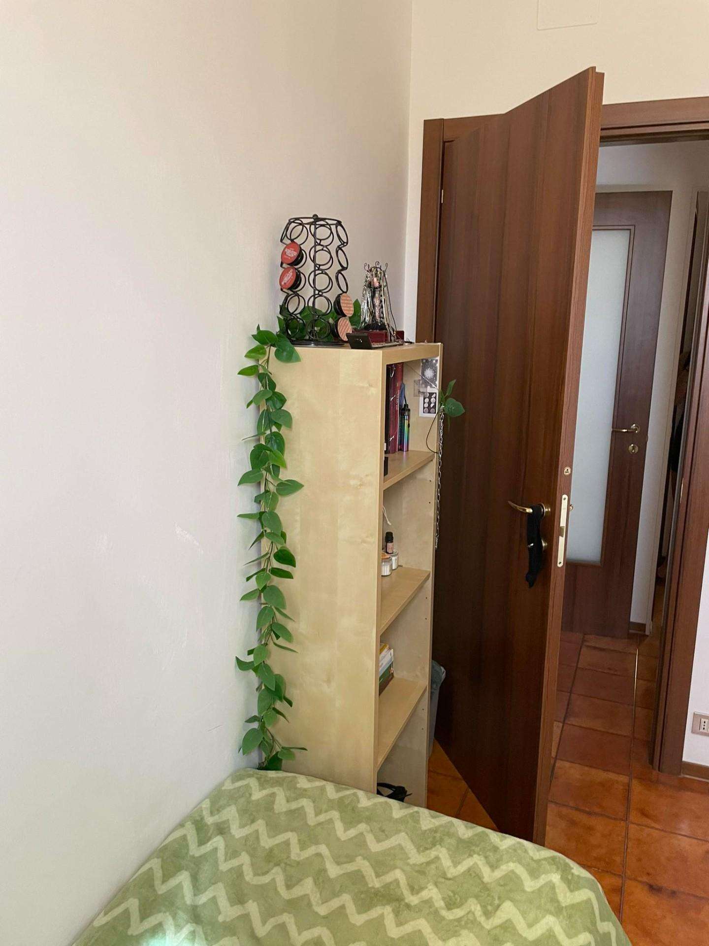  - foto 6