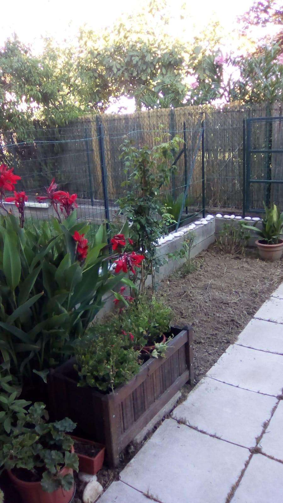  - foto 13
