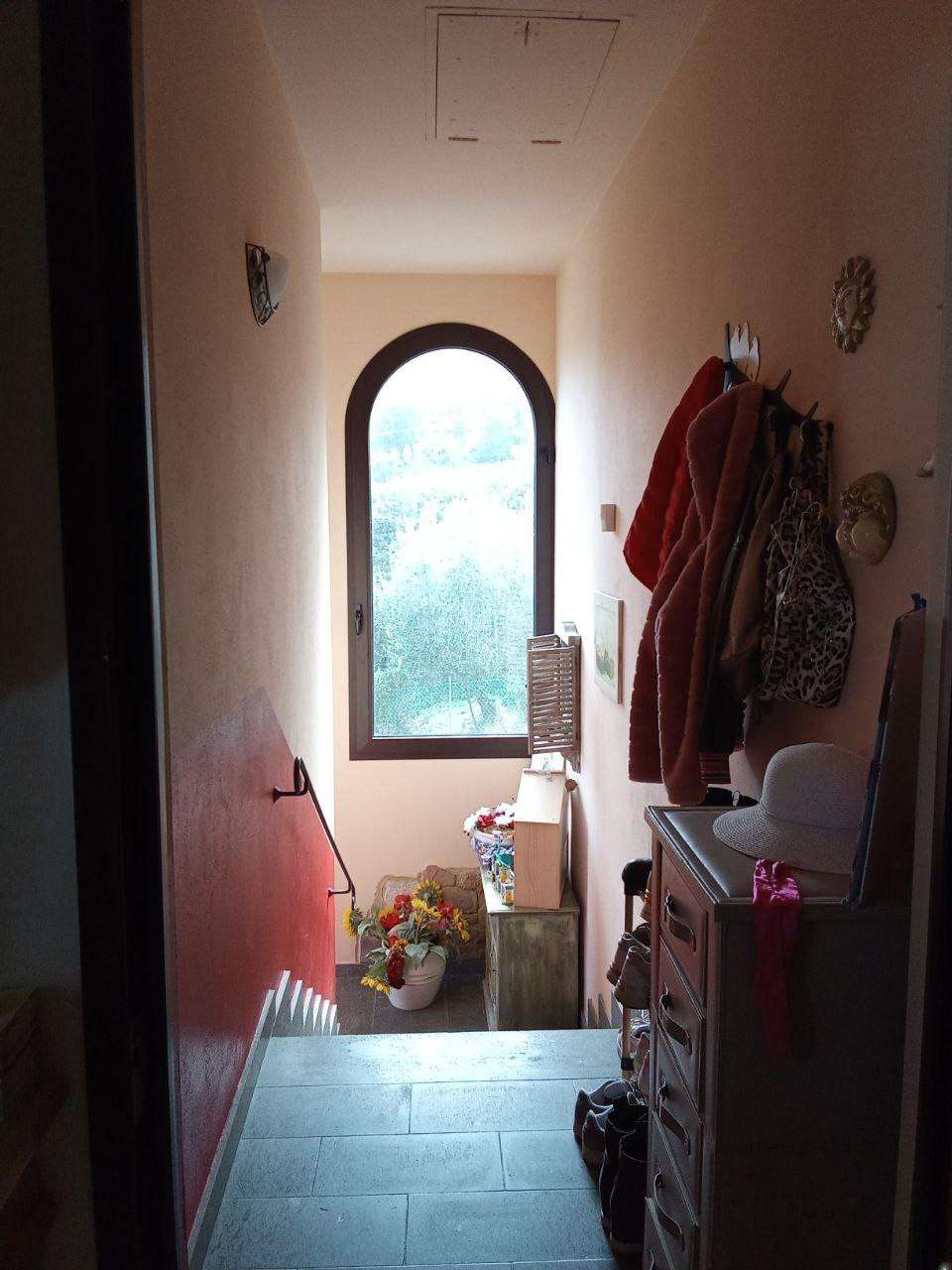  - foto 19