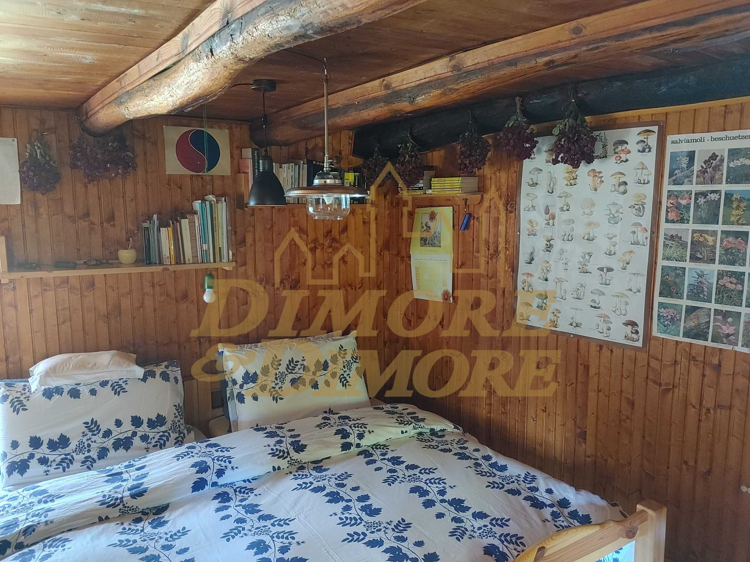  - foto 17