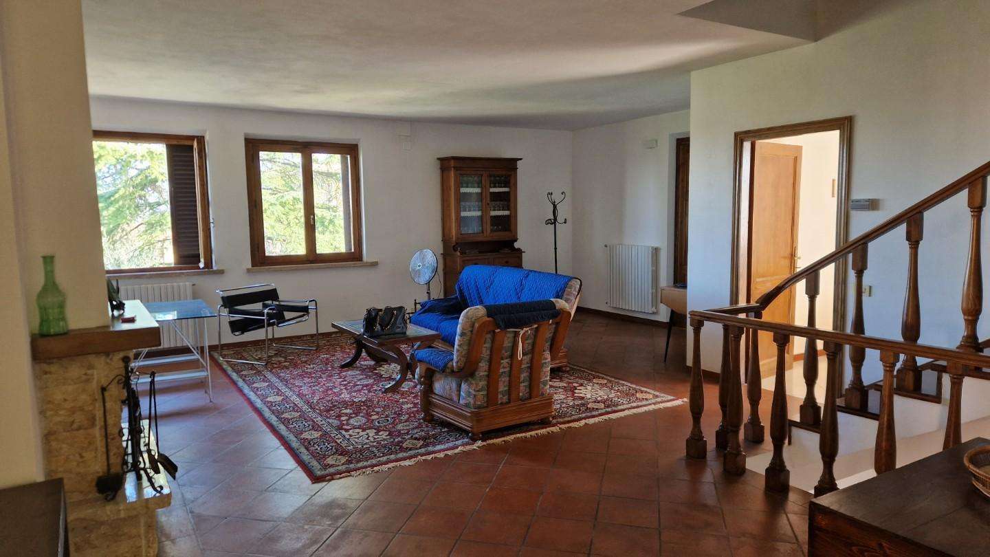  - foto 11