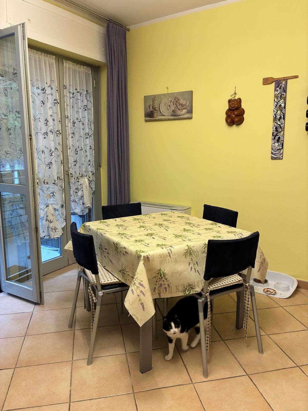  - foto 5