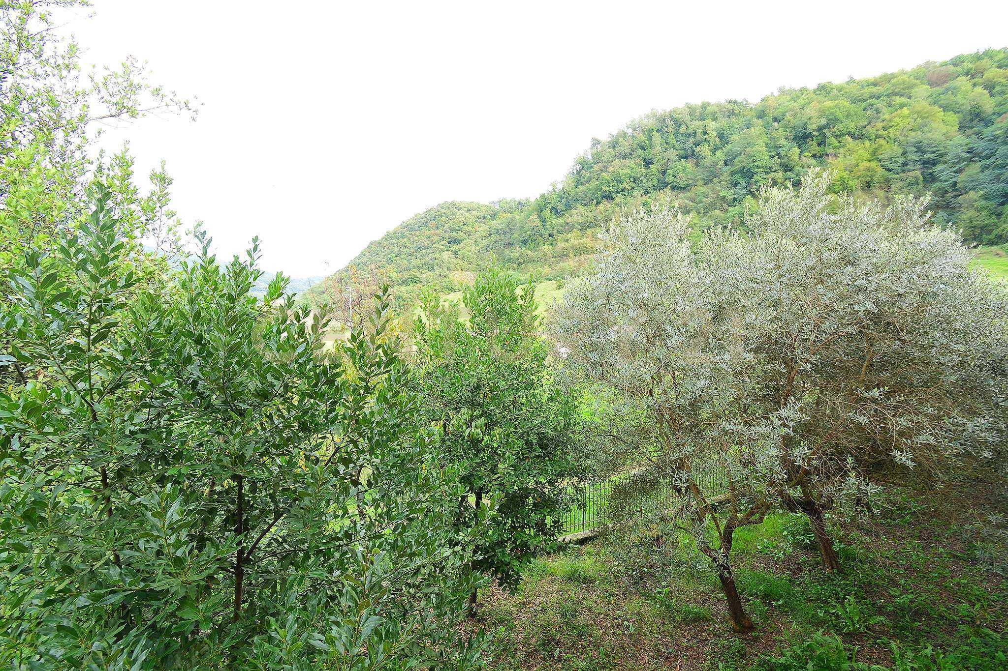  - foto 4