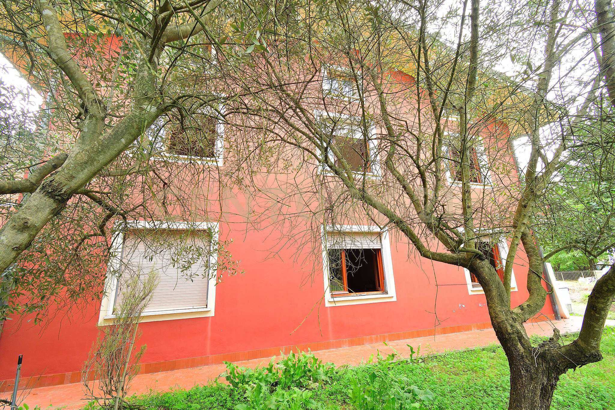  - foto 42