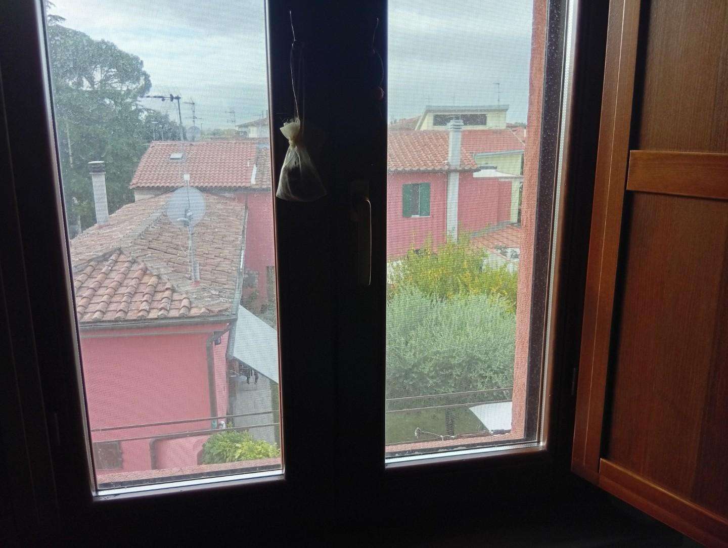  - foto 10