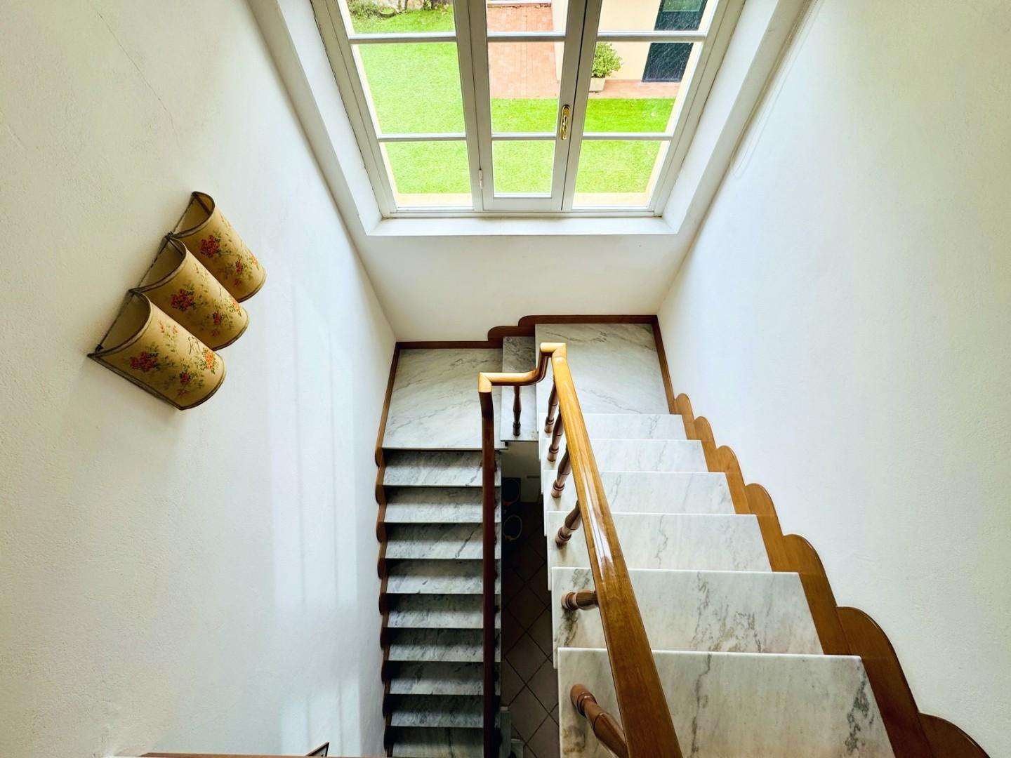  - foto 49