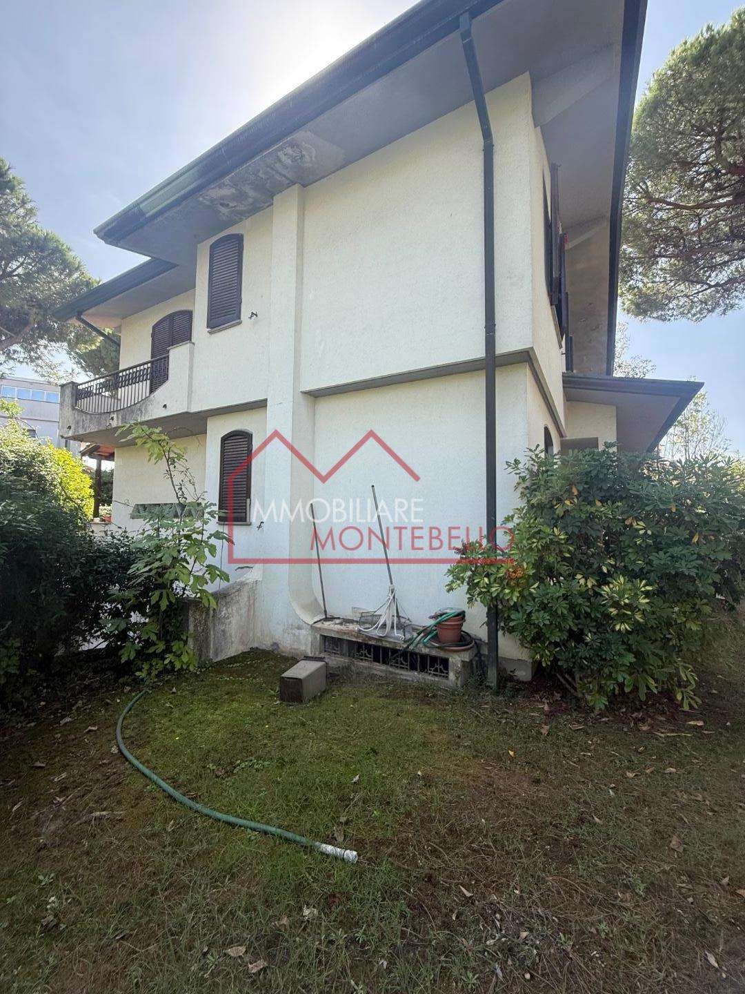  - foto 11