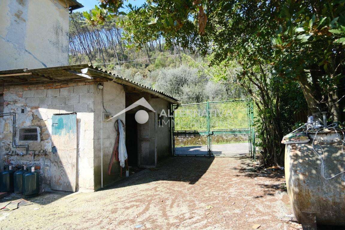  - foto 14