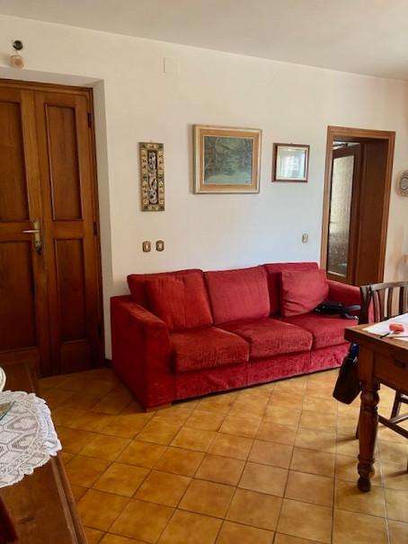  - foto 11