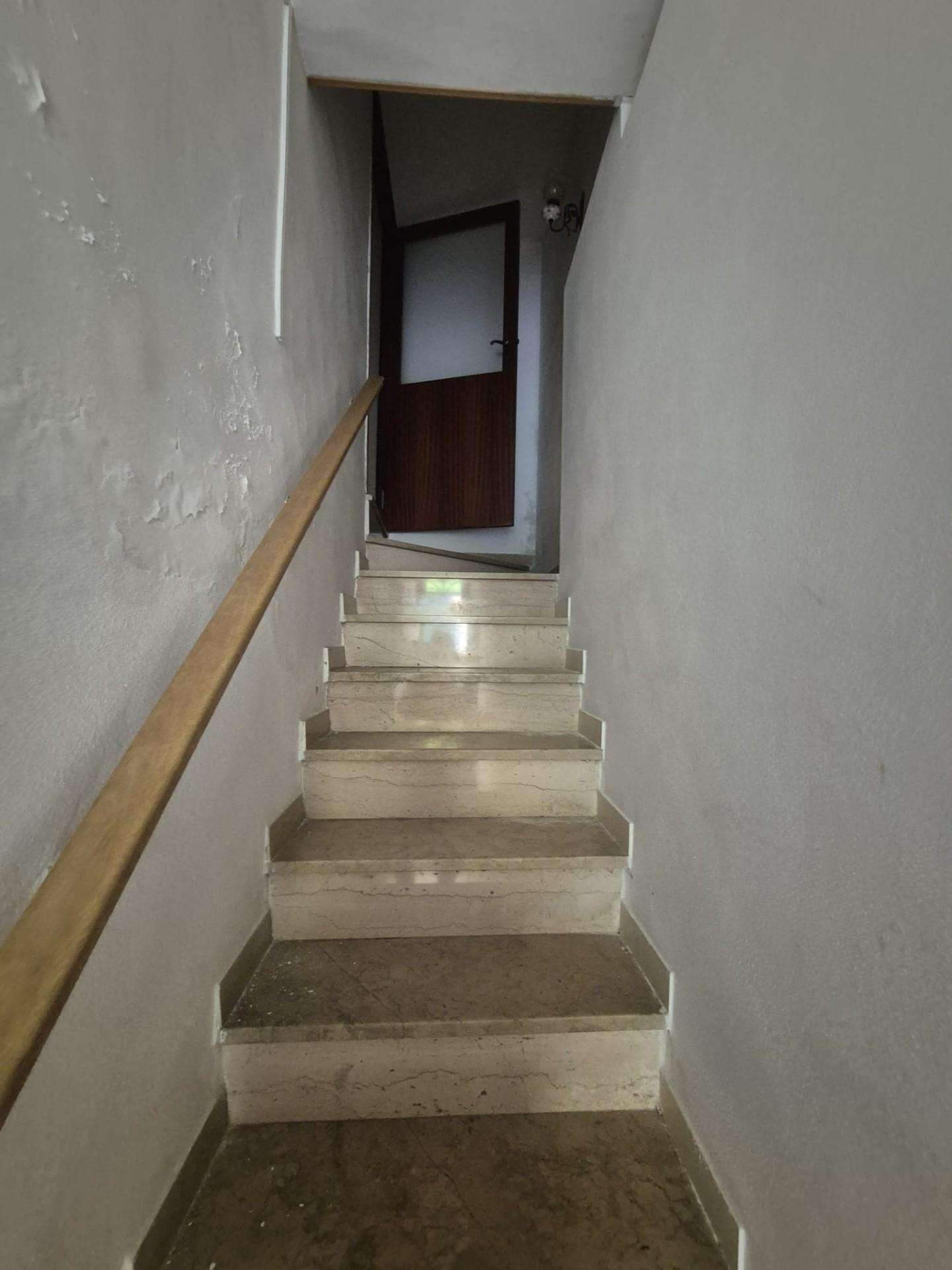  - foto 11