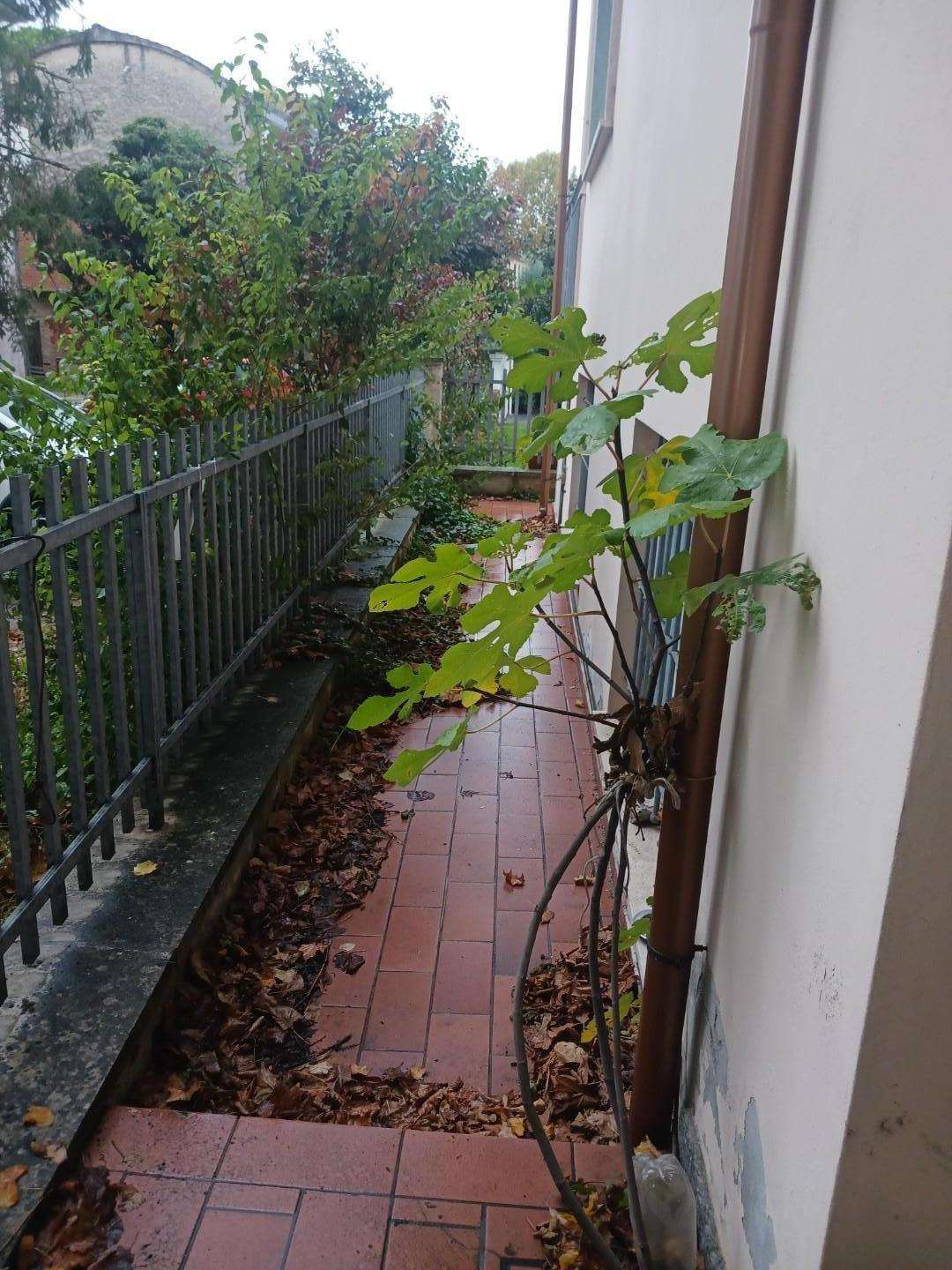  - foto 12