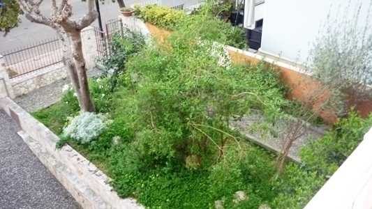  - foto 30