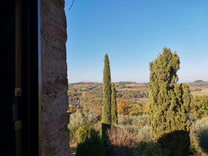  - foto 19