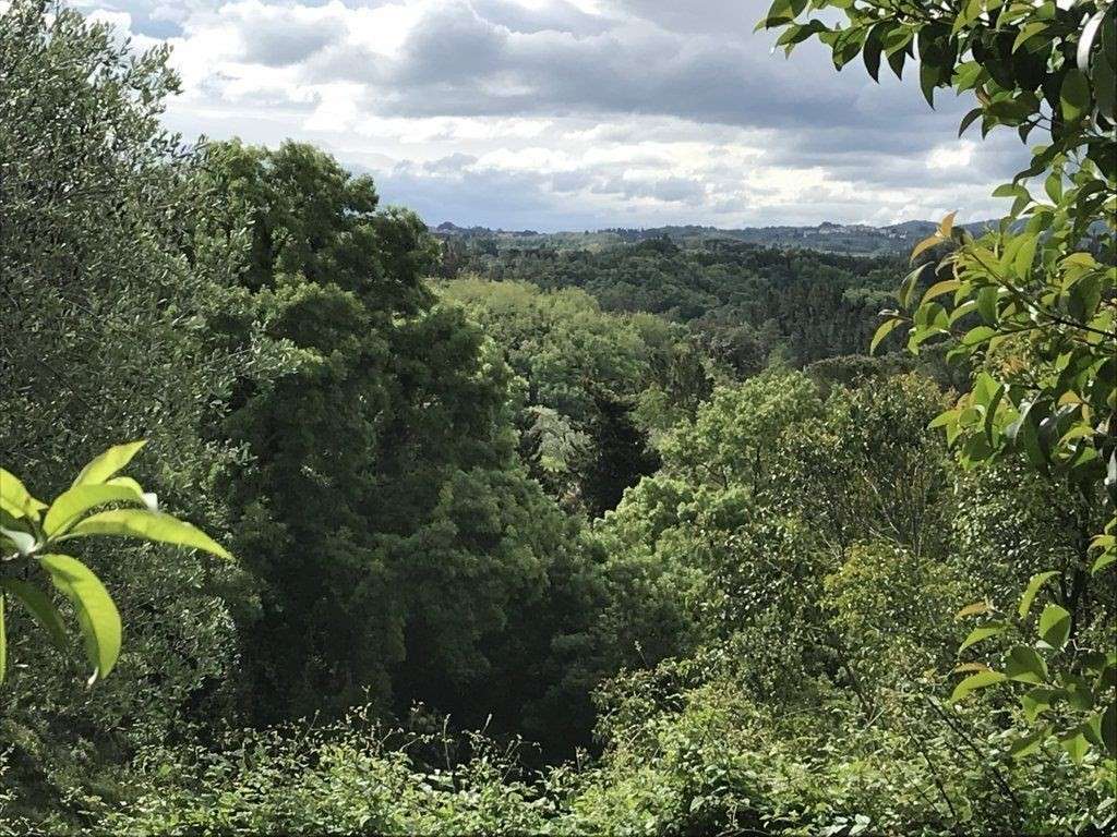  - foto 3