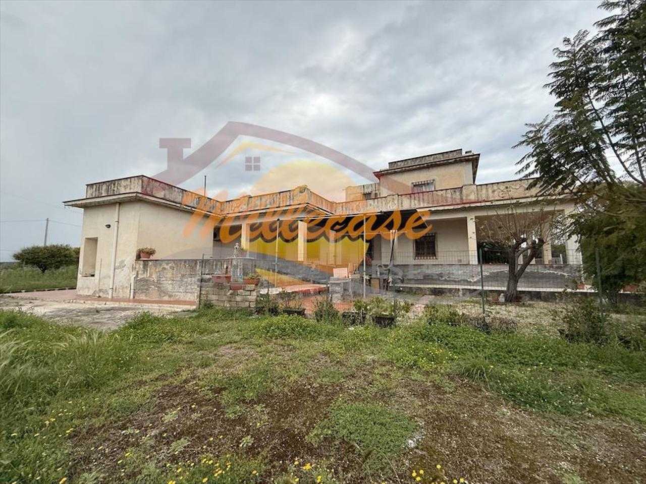  - foto 2