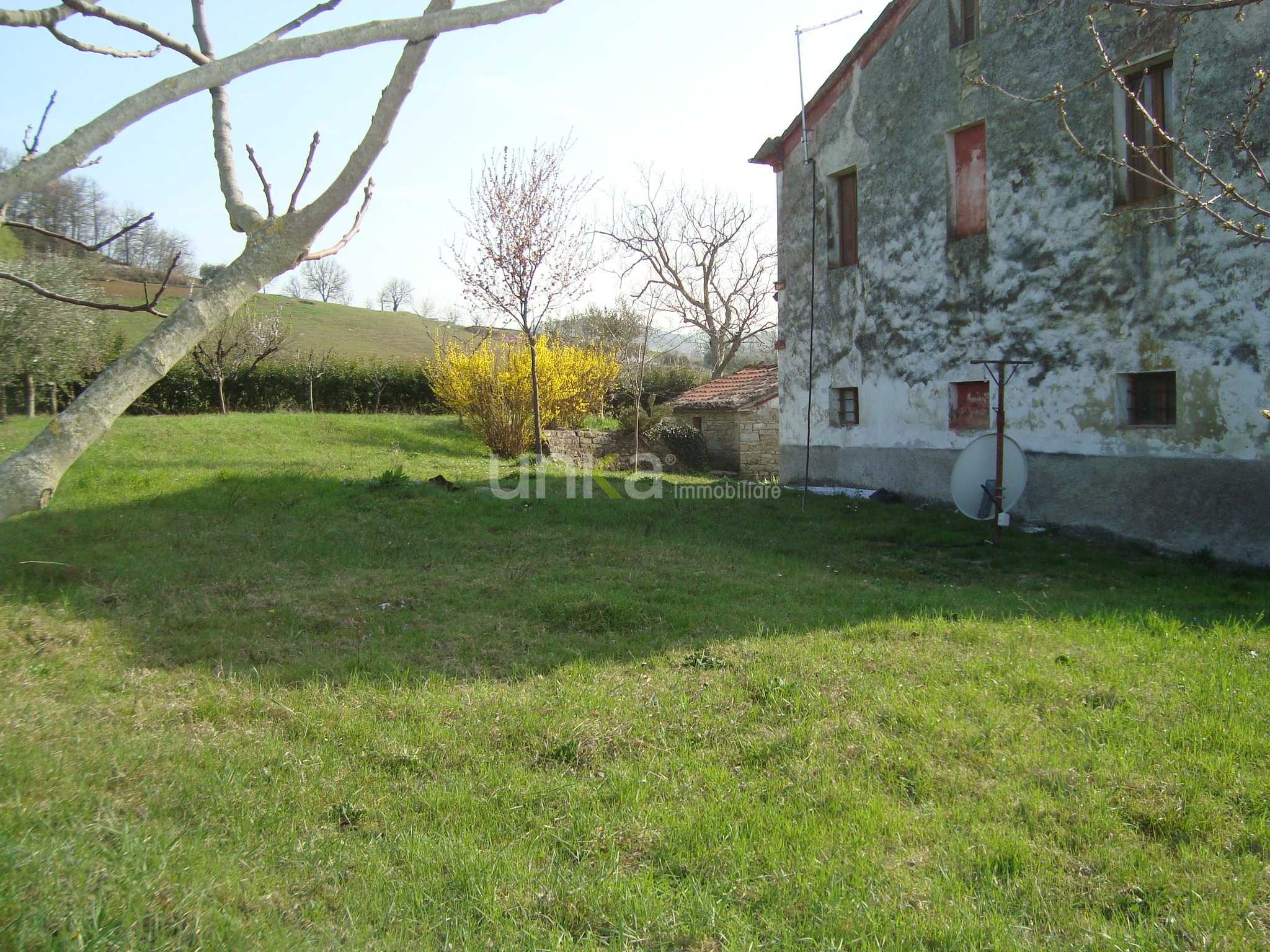  - foto 11