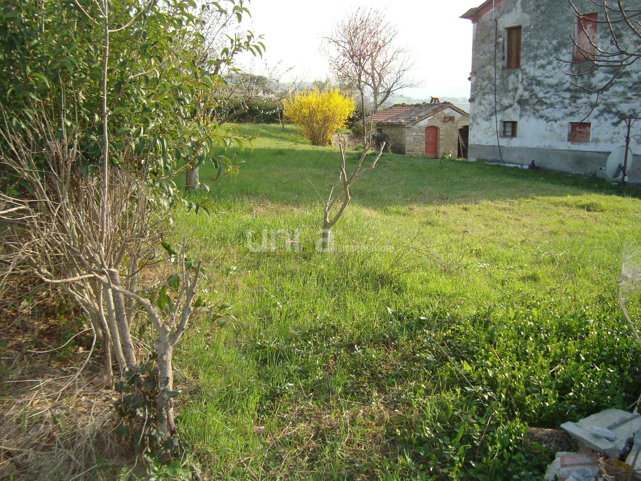  - foto 14