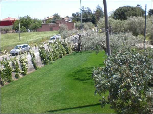  - foto 20