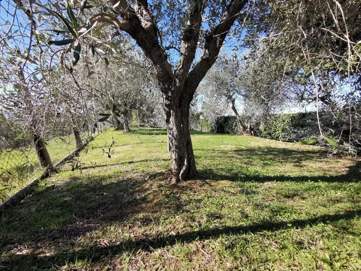  - foto 65