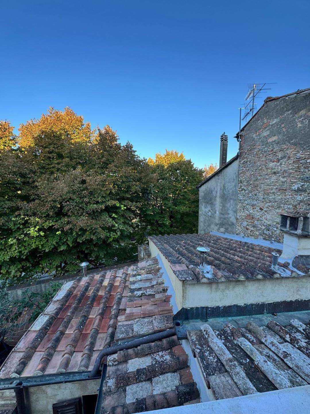  - foto 11