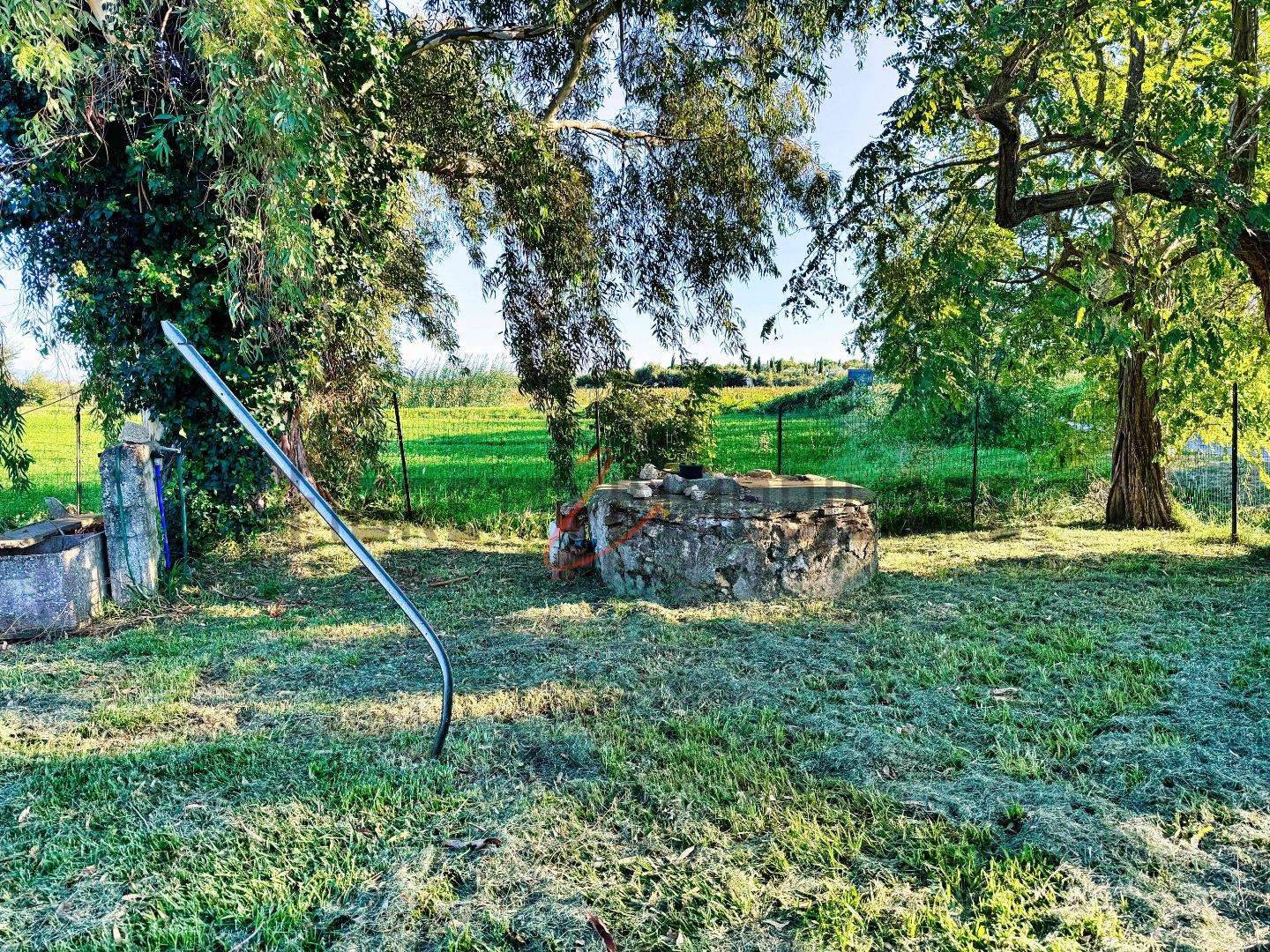  - foto 41
