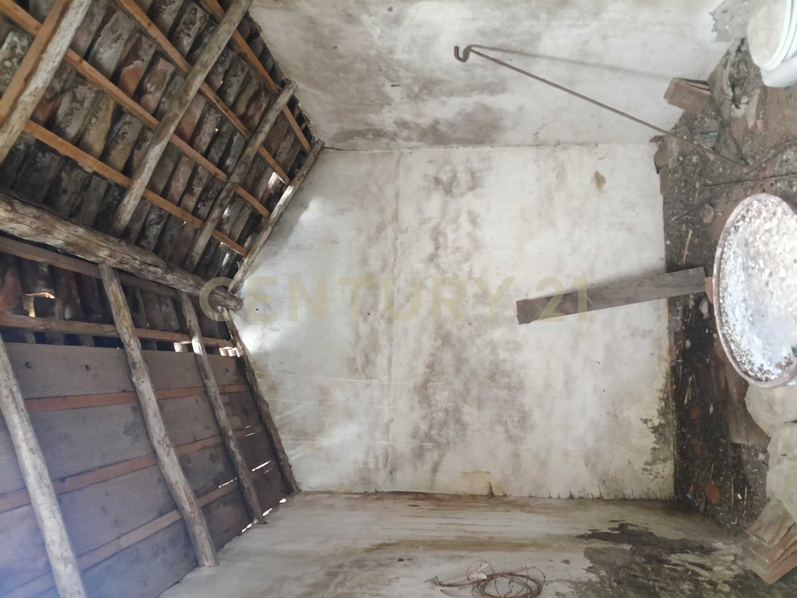 - foto 5