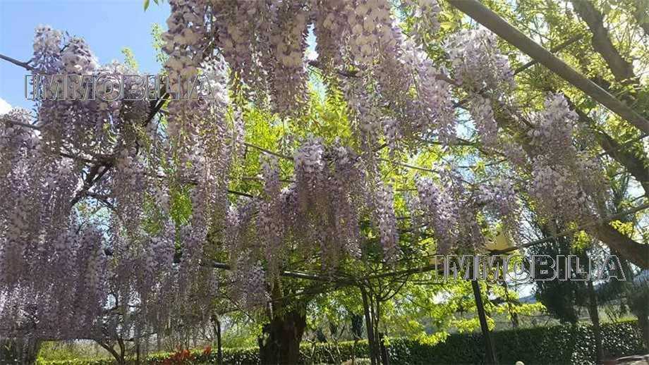  - foto 30