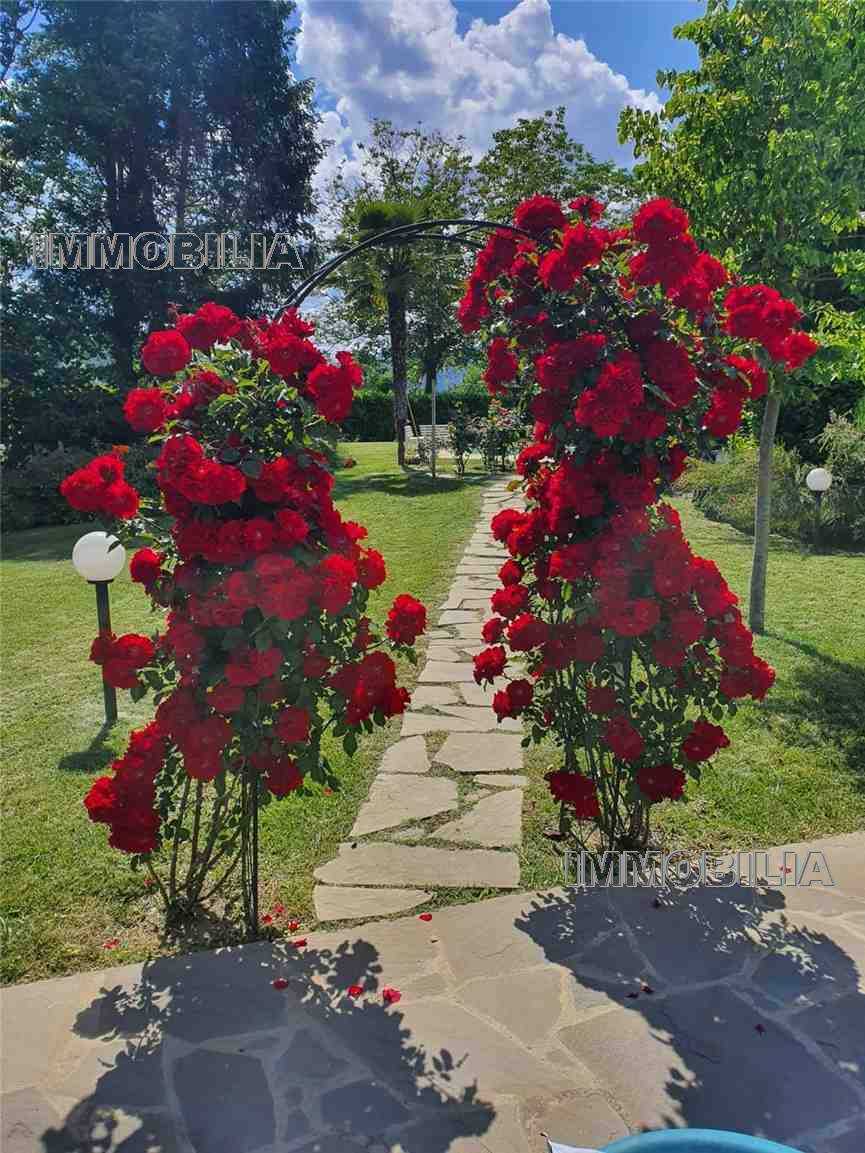  - foto 35