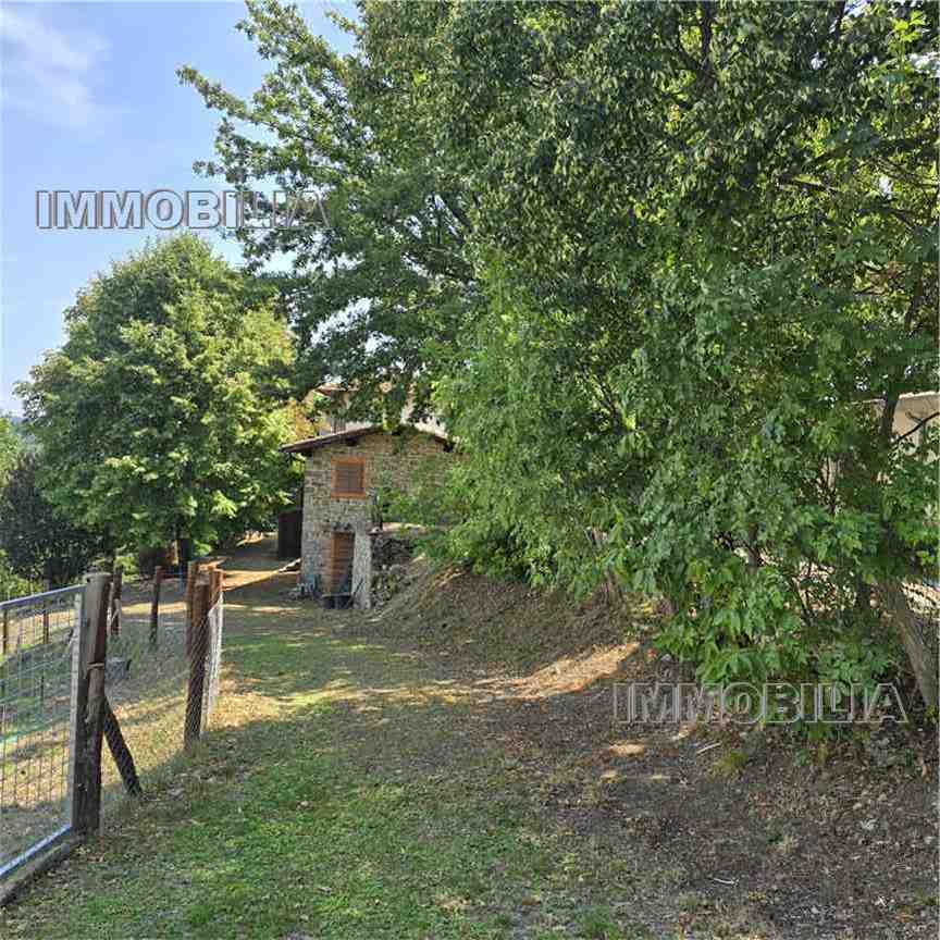  - foto 33