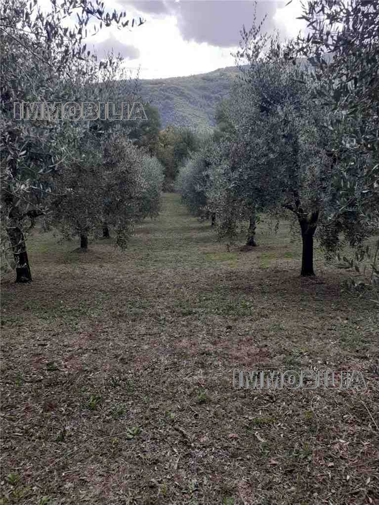 - foto 3