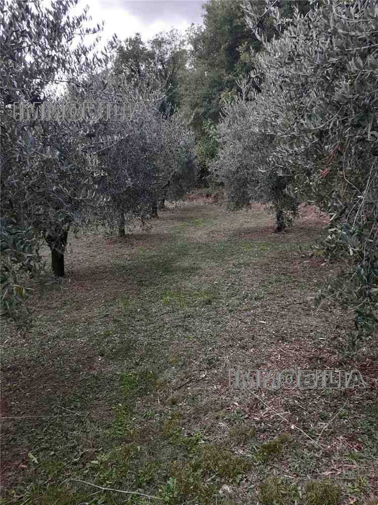  - foto 4