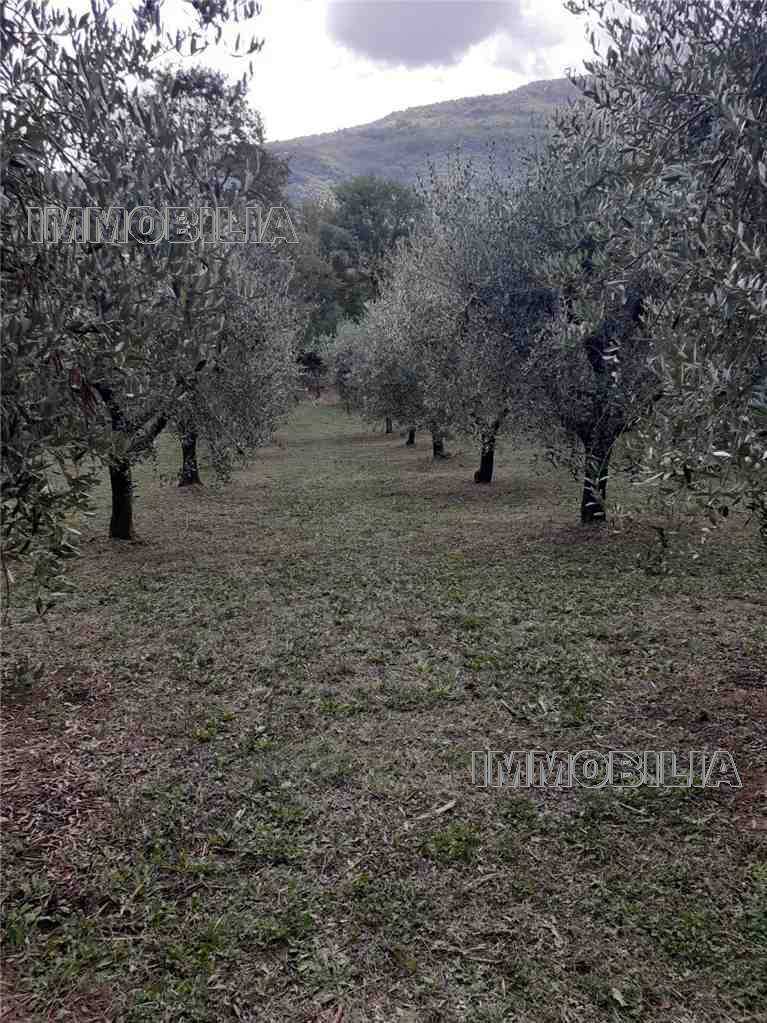 - foto 5