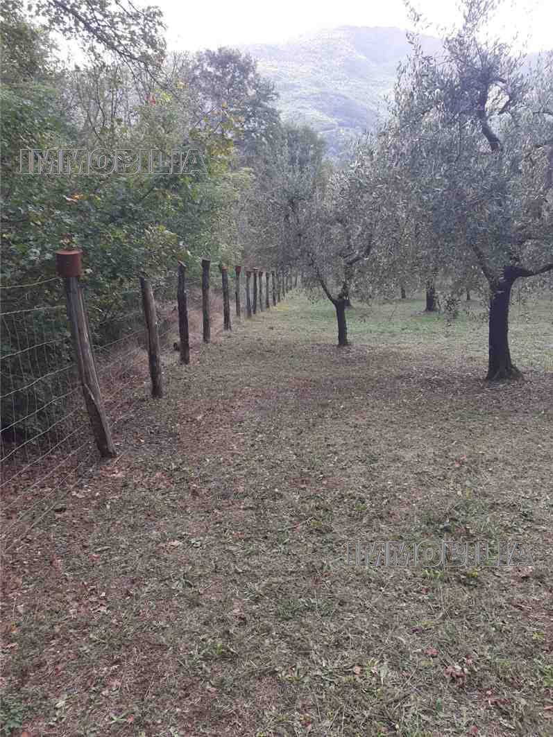  - foto 6
