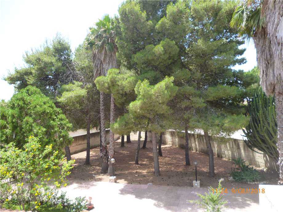  - foto 15