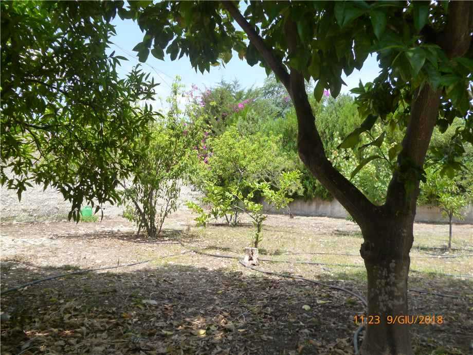  - foto 7