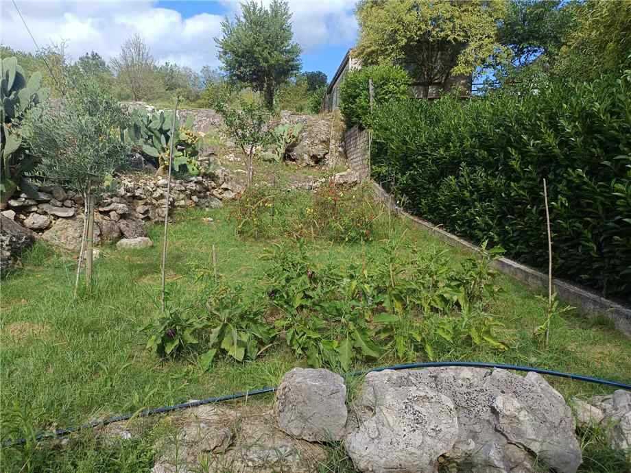  - foto 17