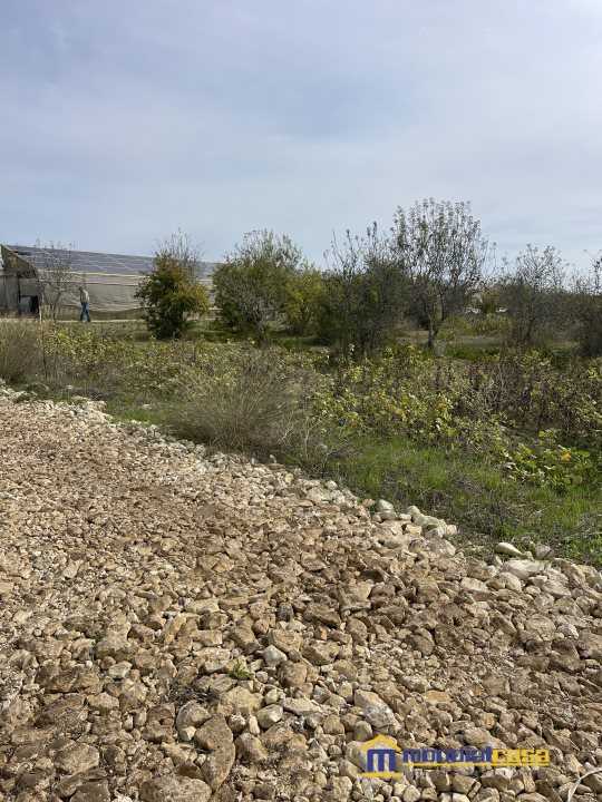  - foto 5