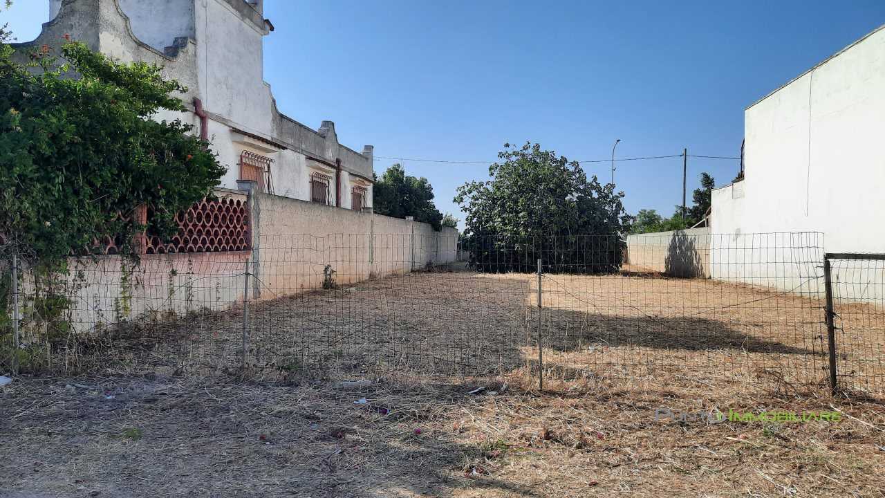  - foto 4
