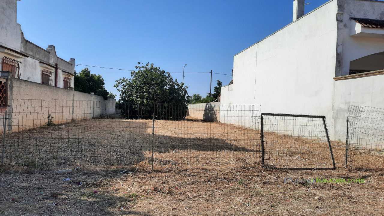  - foto 5